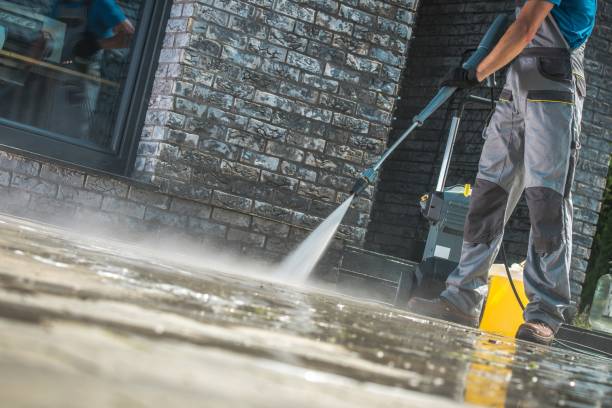 Pre-Holiday Cleaning in Vista Center, NJ