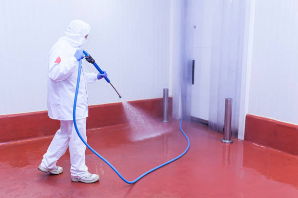 Best Pool Deck Cleaning  in Vista Center, NJ