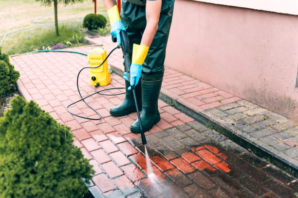 Best Solar Panel Cleaning  in Vista Center, NJ